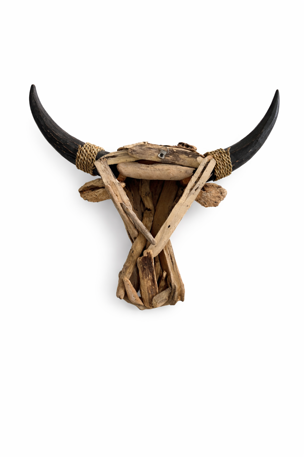 Tête de taureau – Image 3