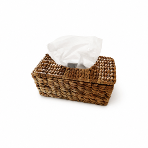 cache boite kleenex